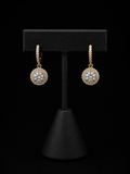 Plated Earrings